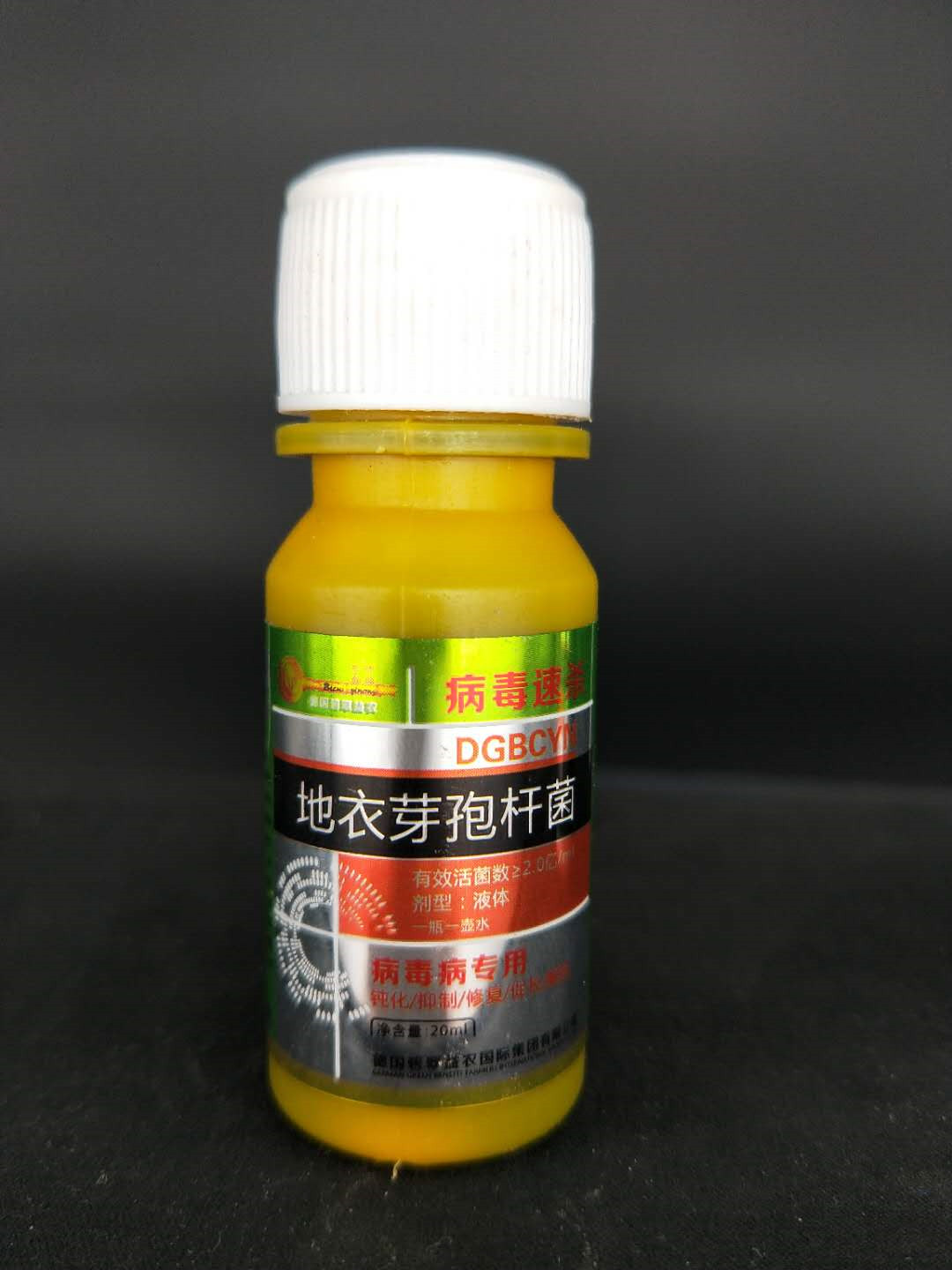 病毒速杀